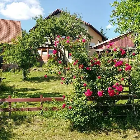 Ferienwohnung Vreni Gersfeld Exterior photo