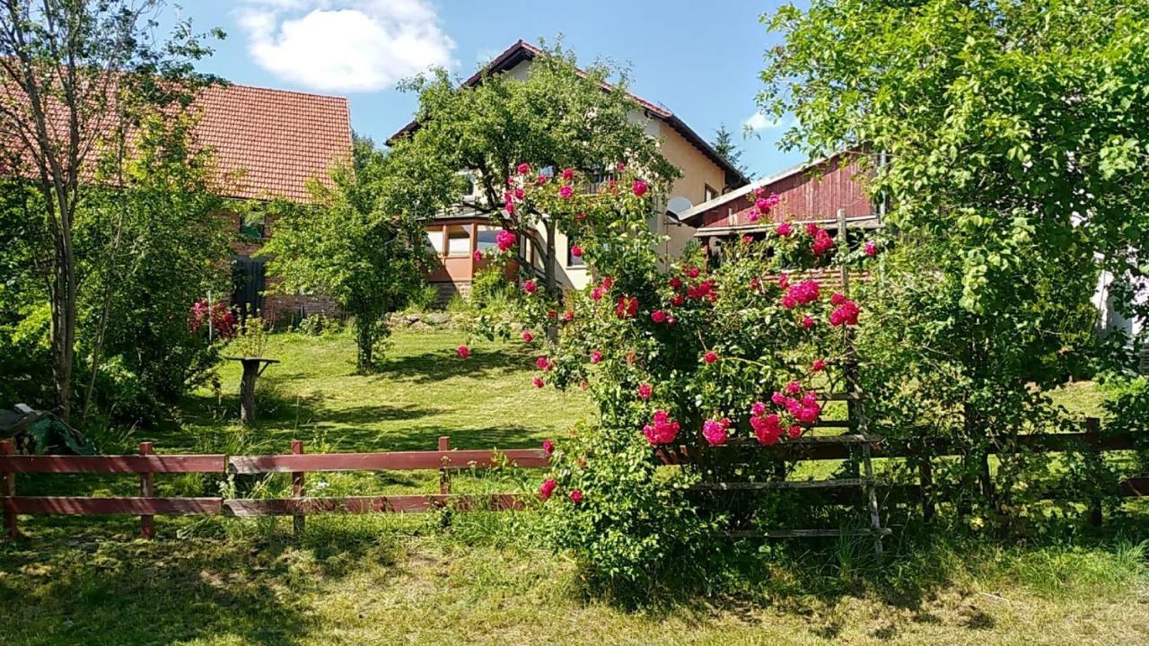 Vreni Gersfeld